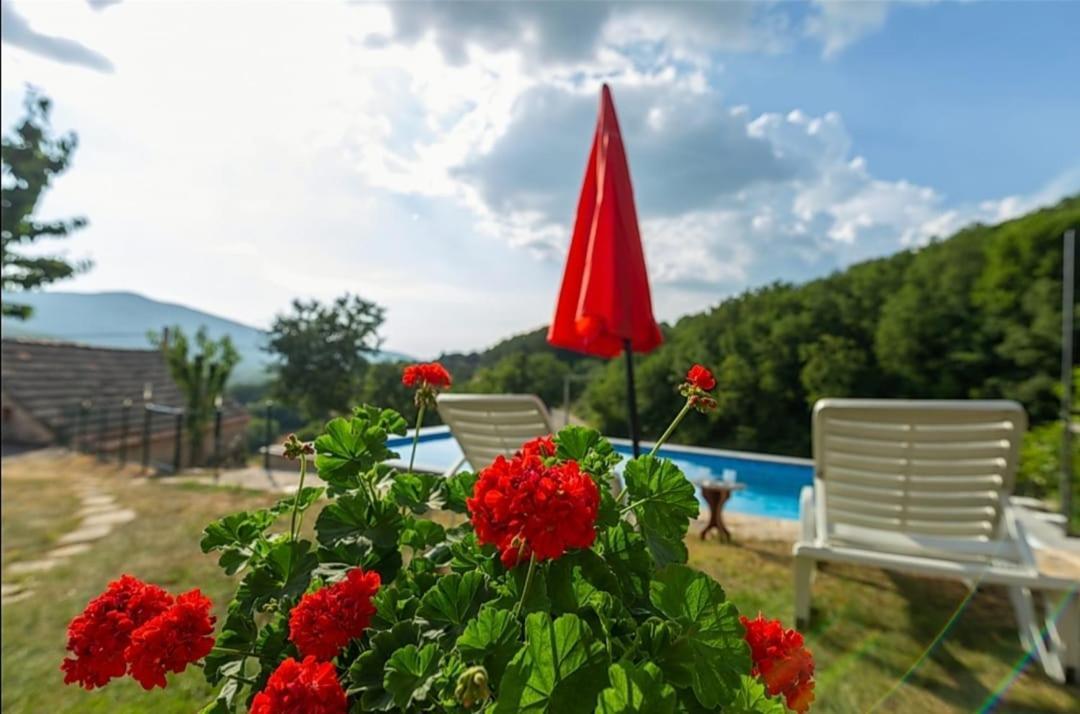 Honey House Villa Grabovac  Eksteriør billede